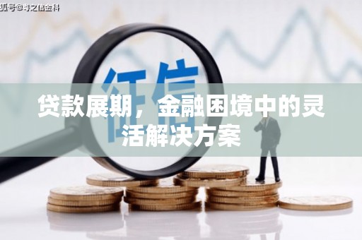 苓雅贷款展期，金融困境中的灵活解决方案