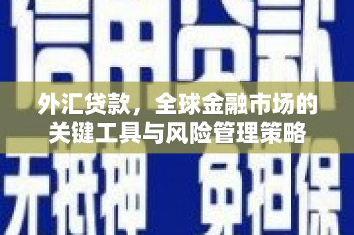 苓雅外汇贷款，全球金融市场的关键工具与风险管理策略