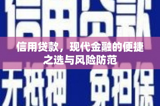 苓雅信用贷款，现代金融的便捷之选与风险防范