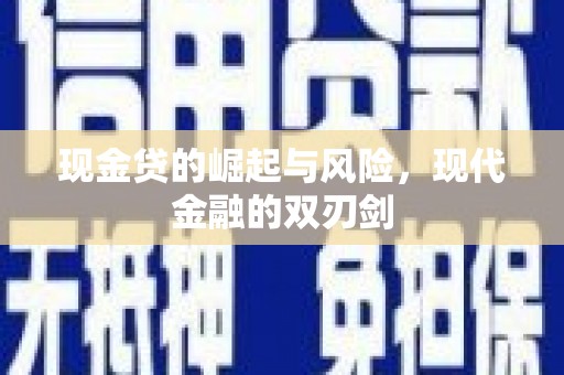 苓雅现金贷的崛起与风险，现代金融的双刃剑