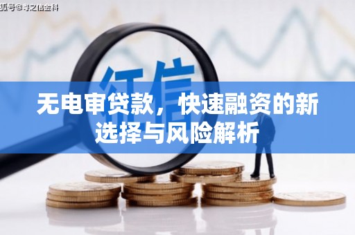 苓雅无电审贷款，快速融资的新选择与风险解析