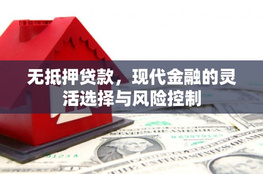 苓雅无抵押贷款，现代金融的灵活选择与风险控制