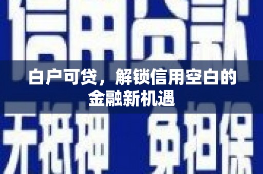 苓雅白户可贷，解锁信用空白的金融新机遇