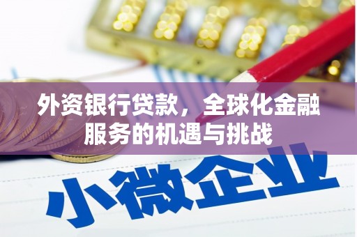 苓雅外资银行贷款，全球化金融服务的机遇与挑战