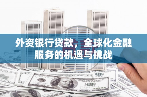 苓雅外资银行贷款，全球化金融服务的机遇与挑战