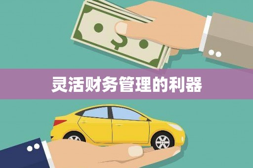 苓雅灵活财务管理的利器