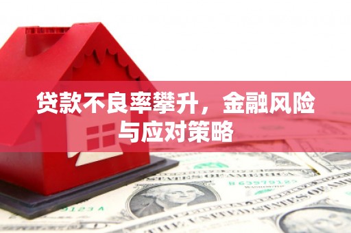 苓雅贷款不良率攀升，金融风险与应对策略