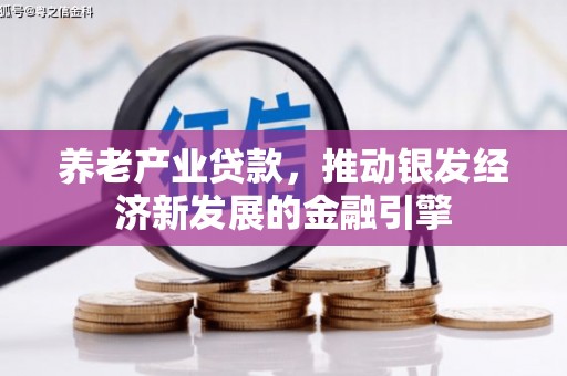苓雅养老产业贷款，推动银发经济新发展的金融引擎