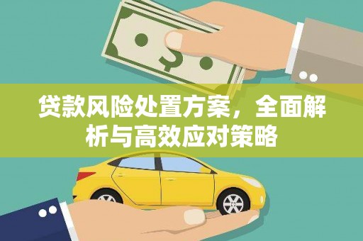 苓雅贷款风险处置方案，全面解析与高效应对策略