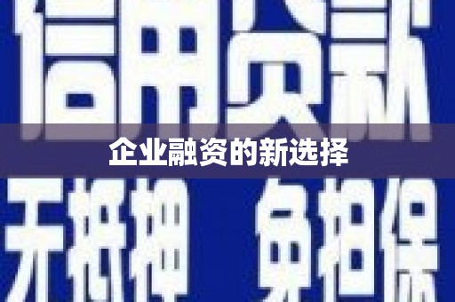 苓雅企业融资的新选择