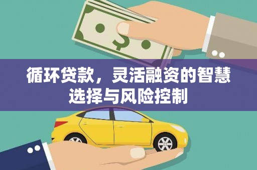 苓雅循环贷款，灵活融资的智慧选择与风险控制