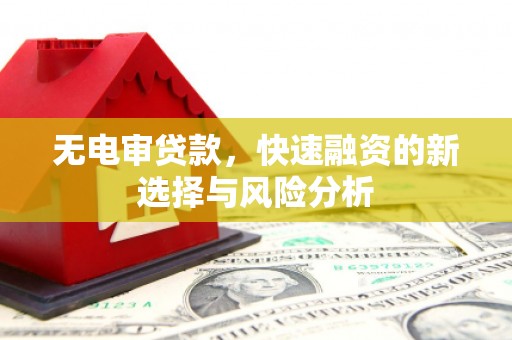 苓雅无电审贷款，快速融资的新选择与风险分析