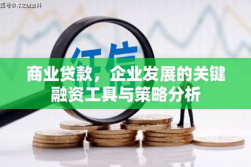 苓雅商业贷款，企业发展的关键融资工具与策略分析
