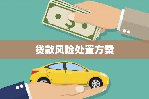 苓雅贷款风险处置方案