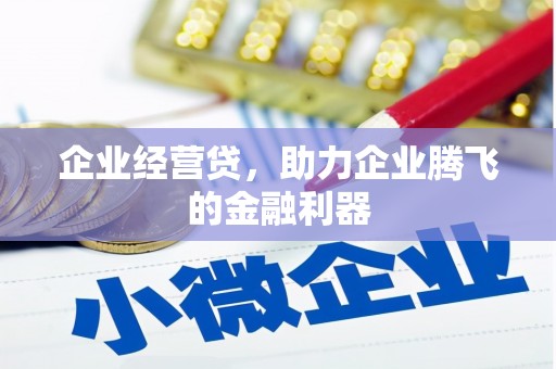 苓雅企业经营贷，助力企业腾飞的金融利器