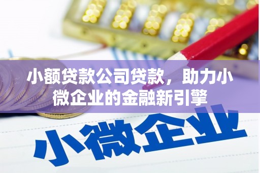 苓雅小额贷款公司贷款，助力小微企业的金融新引擎