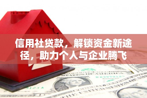 苓雅信用社贷款，解锁资金新途径，助力个人与企业腾飞