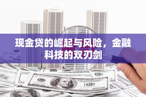 苓雅现金贷的崛起与风险，金融科技的双刃剑