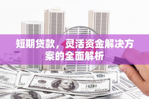 苓雅短期贷款，灵活资金解决方案的全面解析