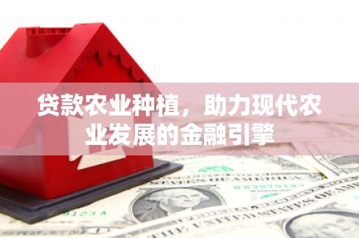 苓雅贷款农业种植，助力现代农业发展的金融引擎