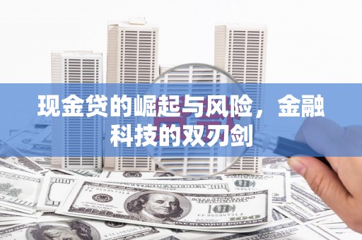 苓雅现金贷的崛起与风险，金融科技的双刃剑