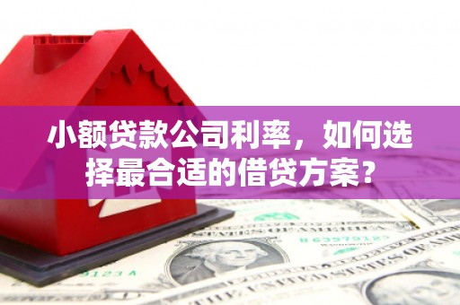 苓雅小额贷款公司利率，如何选择最合适的借贷方案？