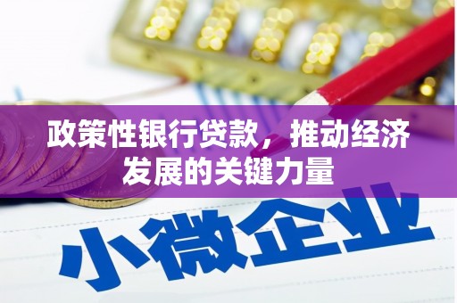苓雅政策性银行贷款，推动经济发展的关键力量