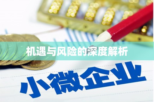 苓雅机遇与风险的深度解析