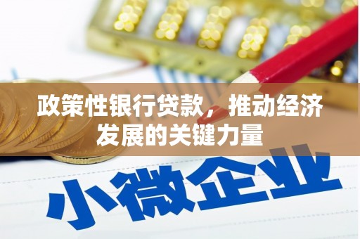 苓雅政策性银行贷款，推动经济发展的关键力量