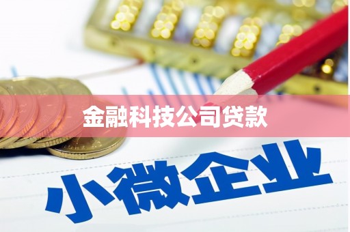 苓雅金融科技公司贷款