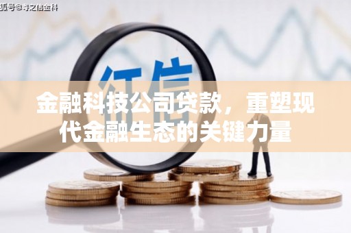 苓雅金融科技公司贷款，重塑现代金融生态的关键力量