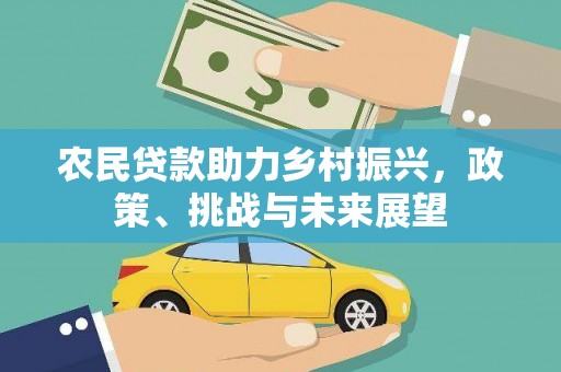苓雅农民贷款助力乡村振兴，政策、挑战与未来展望