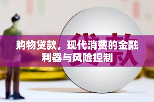 苓雅购物贷款，现代消费的金融利器与风险控制