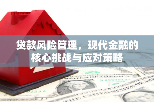 苓雅贷款风险管理，现代金融的核心挑战与应对策略