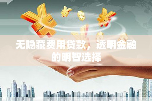 苓雅无隐藏费用贷款，透明金融的明智选择