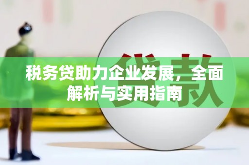 苓雅税务贷助力企业发展，全面解析与实用指南