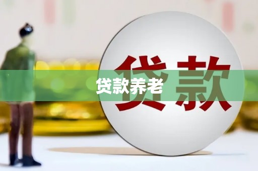 苓雅贷款养老