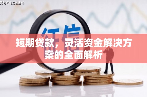 苓雅短期贷款，灵活资金解决方案的全面解析