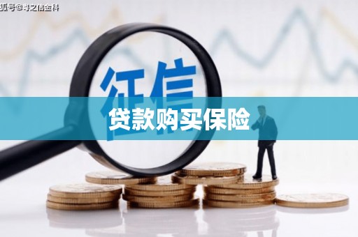 苓雅贷款购买保险