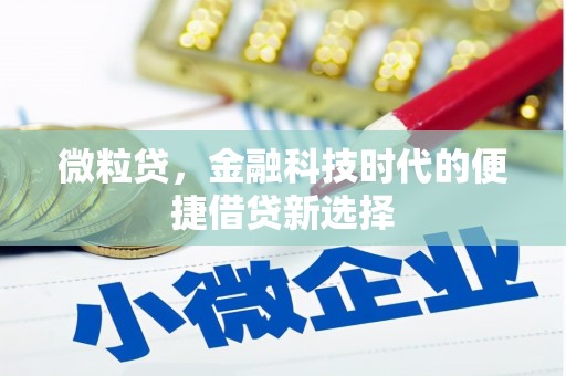 苓雅微粒贷，金融科技时代的便捷借贷新选择