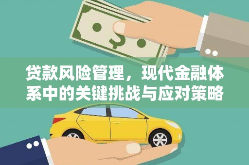 苓雅贷款风险管理，现代金融体系中的关键挑战与应对策略