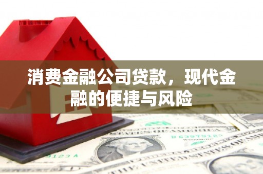 苓雅消费金融公司贷款，现代金融的便捷与风险
