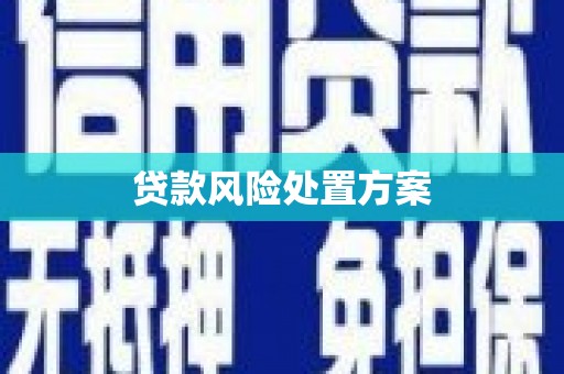 苓雅贷款风险处置方案