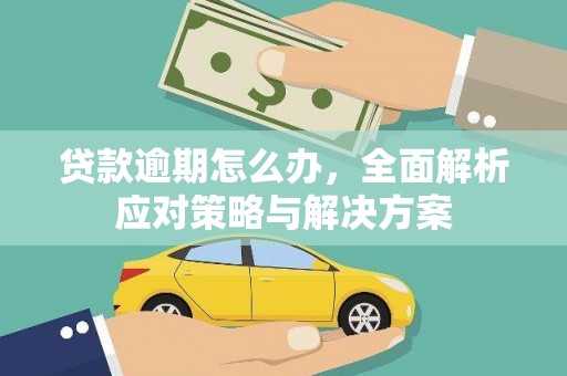 苓雅贷款逾期怎么办，全面解析应对策略与解决方案