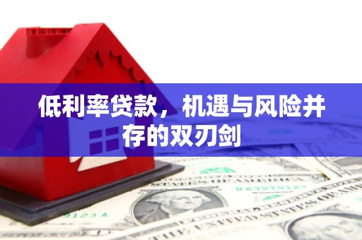 苓雅低利率贷款，机遇与风险并存的双刃剑