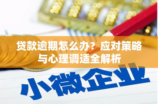 苓雅贷款逾期怎么办？应对策略与心理调适全解析