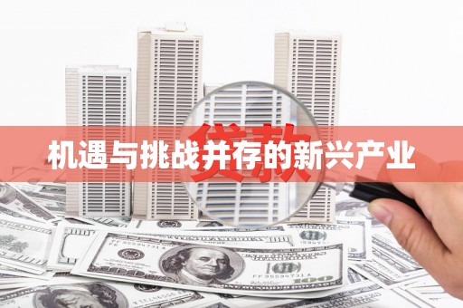 苓雅机遇与挑战并存的新兴产业