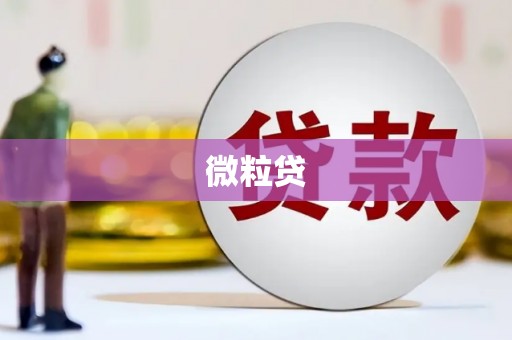 苓雅微粒贷