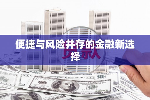 苓雅便捷与风险并存的金融新选择
