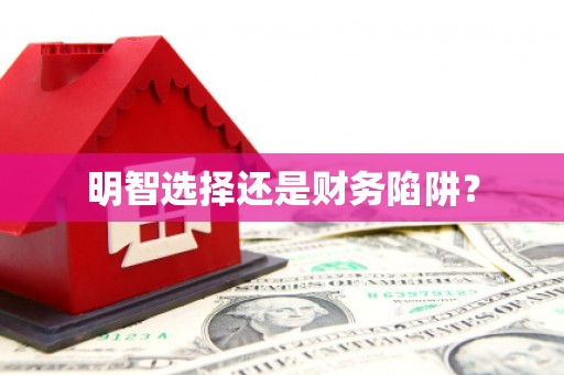 苓雅明智选择还是财务陷阱？